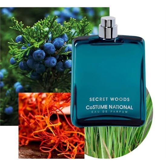 Costume National Secret Woods EDP 100 ml Erkek Parfüm - 4