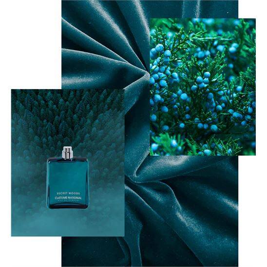 Costume National Secret Woods EDP 100 ml Erkek Parfüm - 5