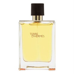 Hermes Terre D Hermes EDT 200 ml - 1